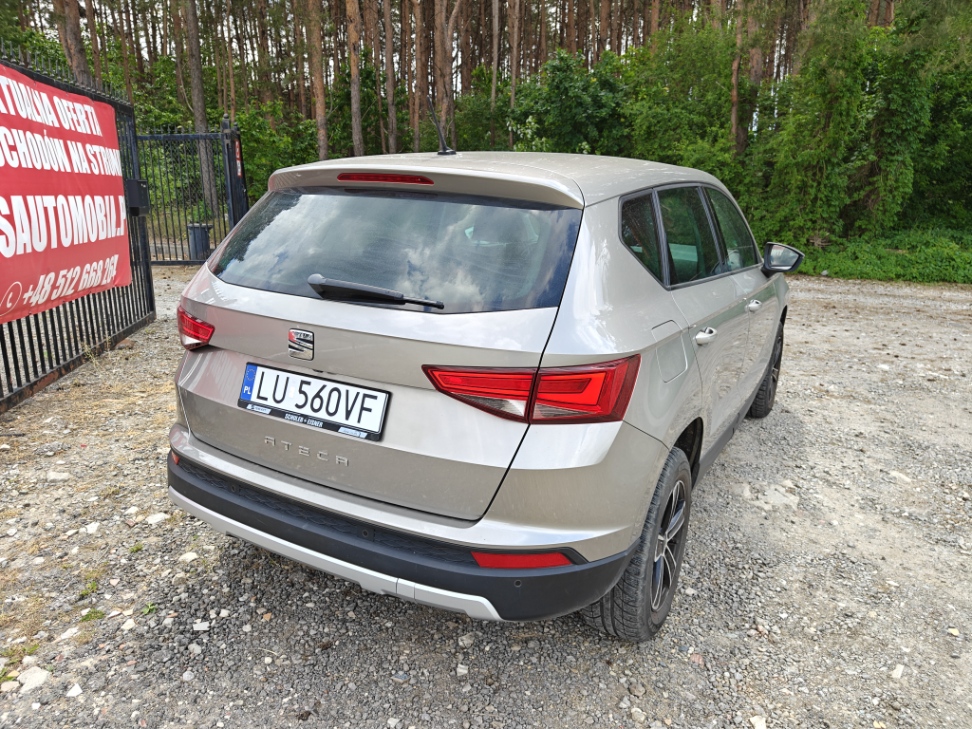 Zdjęcie 11