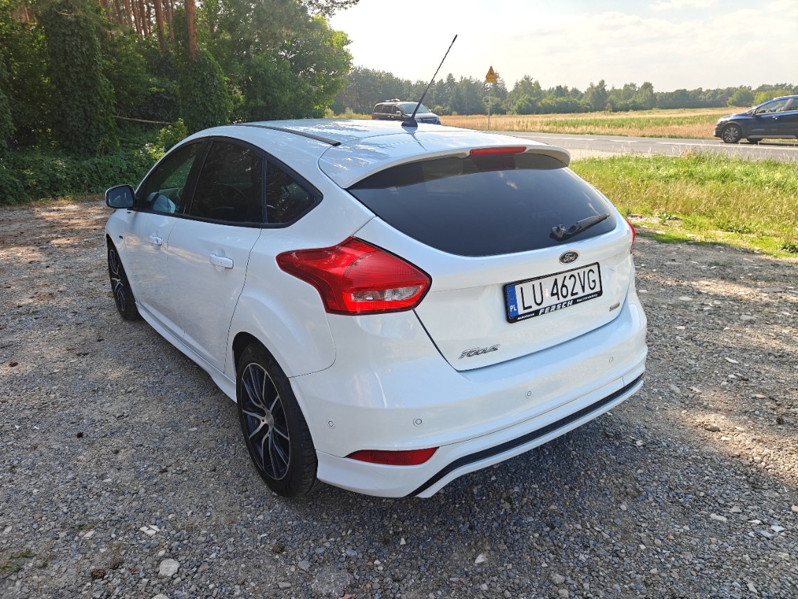Zdjęcie 11